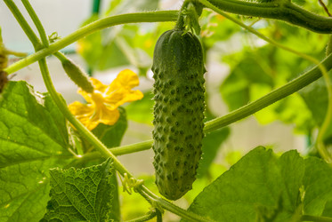 Similar image 21140977