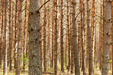 Similar image 21166726