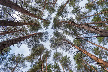 Similar image 21166727