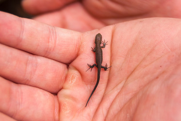 Similar image 21166728