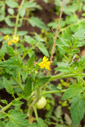 Similar image 21166731