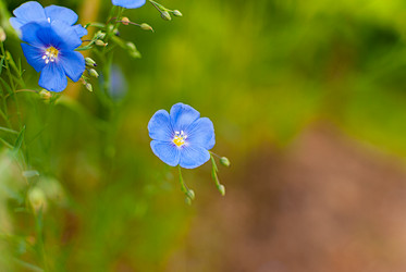 Similar image 21166737