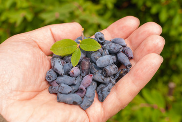 Similar image 21166738