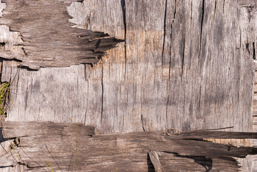 Similar image 21166739