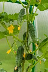 Similar image 21166741