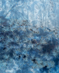 Similar image 21140987