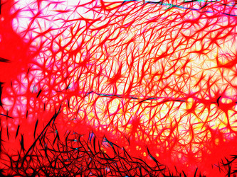 Similar image 21140990