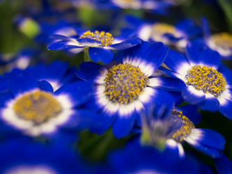 Similar image 21140992