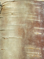 Similar image 21140993