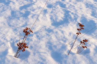 Similar image 21140995