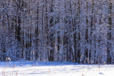 Similar image 21140998