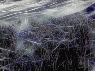 Similar image 21166748