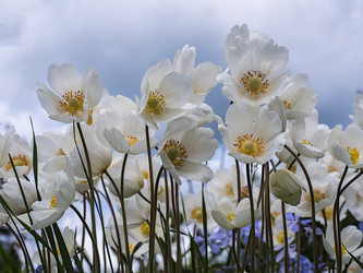 Similar image 21166362