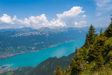 Similar image 21166365