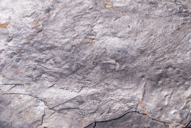 Similar image 21166368