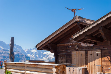 Similar image 21166369