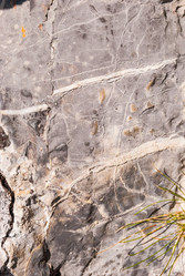 Similar image 21166483