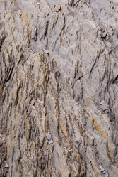 Similar image 21166484