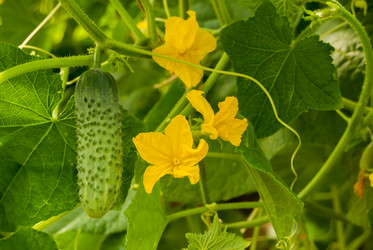 Similar image 21166523