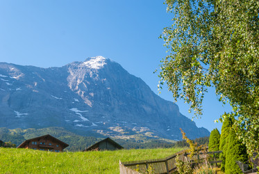 Similar image 21166571