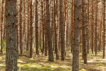 Similar image 21166758