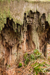 Similar image 21166759