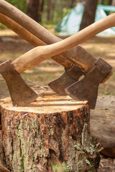 Similar image 21166760