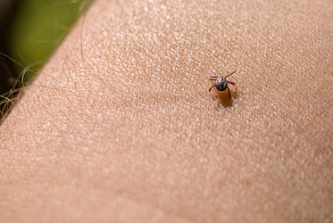 Similar image 21166761