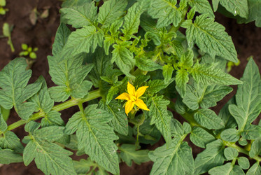 Similar image 21166763