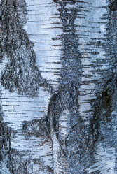 Similar image 21166766