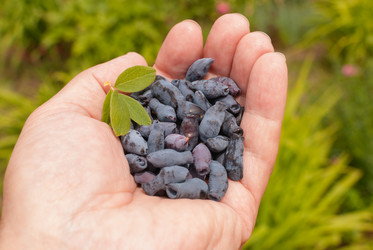 Similar image 21166768