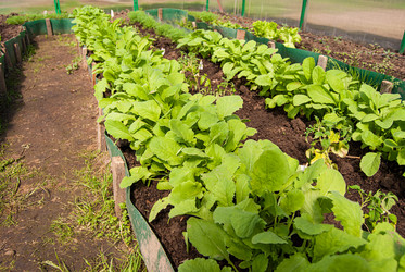 Similar image 21166771