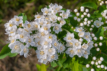 Similar image 21166776