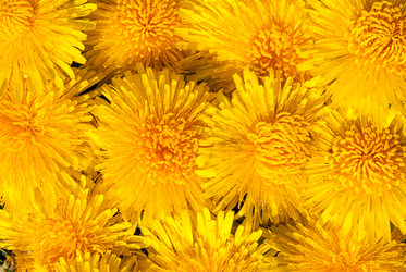 Similar image 21166778