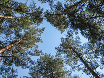 Similar image 21169321