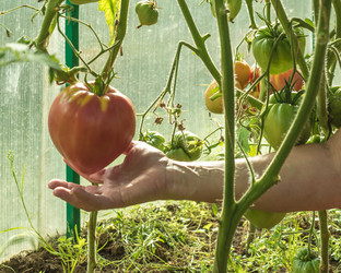 Similar image 21169469