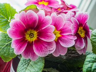 Similar image 21169470