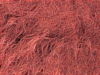 Similar image 21169695