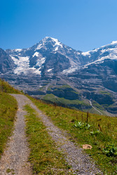 Similar image 21166486