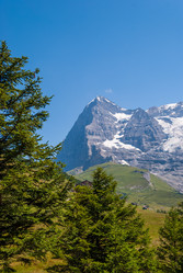 Similar image 21166489