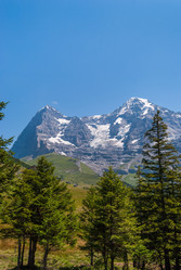 Similar image 21166526