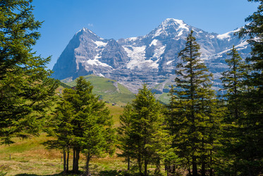 Similar image 21166528