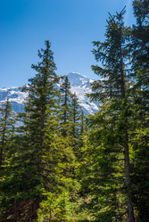 Similar image 21166529