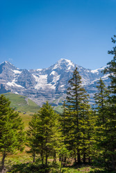 Similar image 21166530