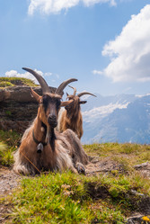 Similar image 21166622