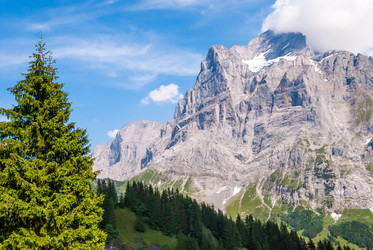 Similar image 21166783