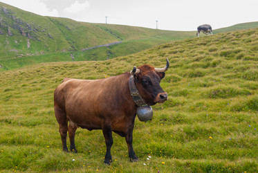 Similar image 21166791