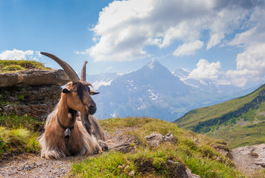 Similar image 21169282