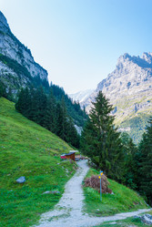 Similar image 21169362