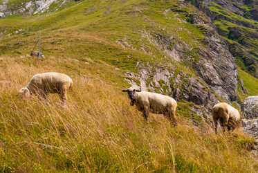 Similar image 21169367